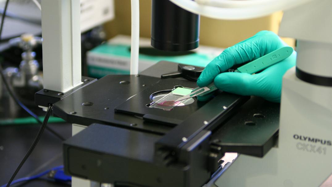 researcher with slide under microscope