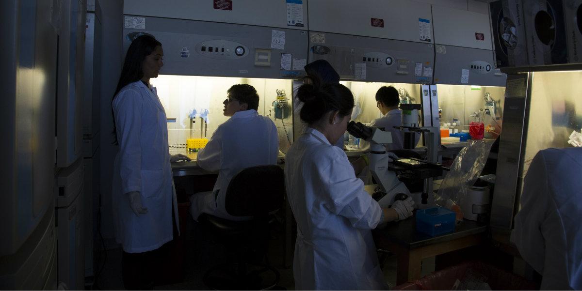 researchers in the lab